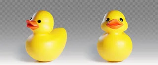 Từ vựng duck nghĩa là vịt - tienganhdaily.vn