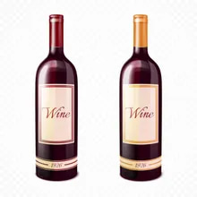 Từ vựng wine nghĩa là rượu - tienganhdaily.vn